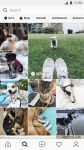 دانلود نرم افزار Instagram v123.0.0.21.114 برای گوشی های اندروید