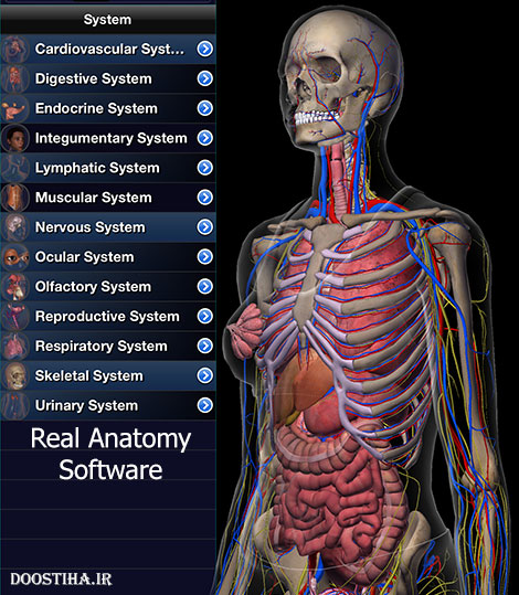دانلود نرم افزار آناتومی واقعی بدن Real Anatomy
