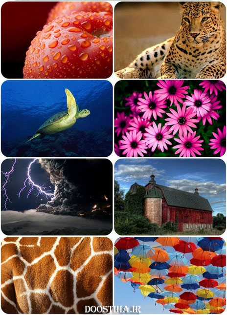 دانلود والپیپر Beautiful Mixed Wallpapers Beautiful Mixed Wallpapers