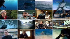 دانلود مستند زندگی کوسه ها Sharkwater 2006 مستند Sharkwater 2006