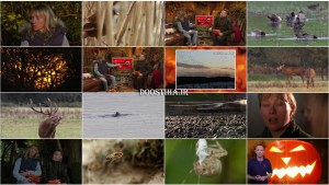 BBC Autumnwatch 2014 E01