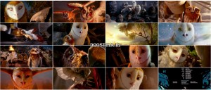 دانلود دوبله فارسی انیمیشن Legend of the Guardians 2010 دوبله گلوری انیمیشن Legend of the Guardians 2010