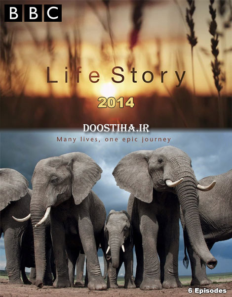 دانلود مستند داستان زندگی BBC: Life Story 2014