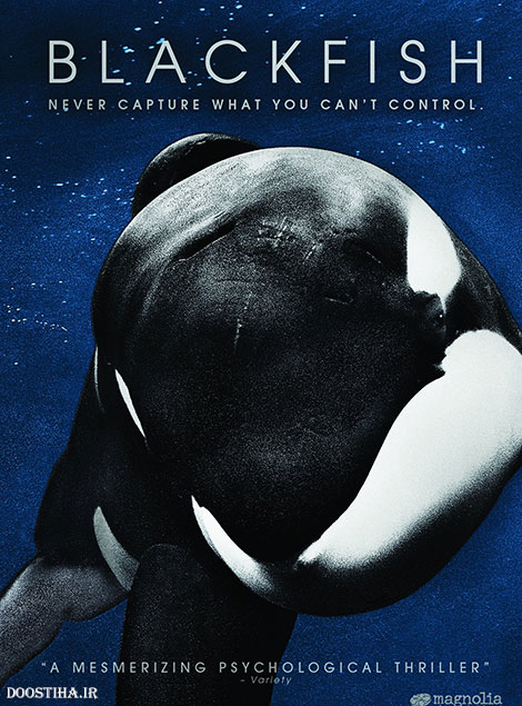 دانلود مستند ماهی سیاه Blackfish 2013 دانلود مستند ماهی سیاه با دوبله فارسی Blackfish 2013