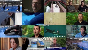 دانلود مستند ماهی سیاه Blackfish 2013 دانلود رایگان دوبله فارسی فیلم Blackfish 2013
