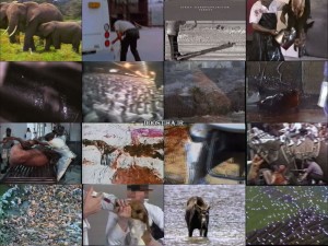 دانلود مستند ترسناک ساکنین زمین Earthlings 2005 دانلود مستند ساکنین زمین Earthlings 2005