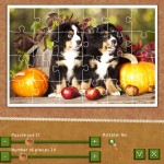 دانلود بازی پازل تصاویر Holiday Jigsaw: Thanksgiving Day Holiday Jigsaw - Thanksgiving Day