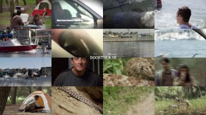 دانلود مستند بدترین حالت ممکن Worst Case Scenario 2010 Sinking Car/Rattlesnake Encounter