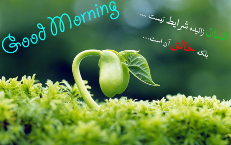 عکس نوشته های زیبا، جملات تصویری آموزنده، گل واژه های الهام بخش
