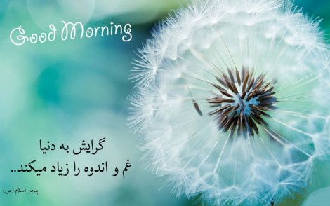 عکس نوشته های زیبا، جملات تصویری آموزنده، گل واژه های الهام بخش