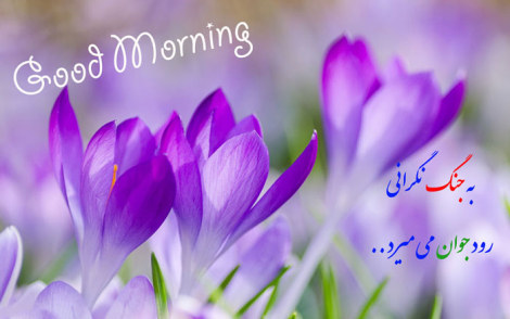 عکس نوشته های زیبا، جملات تصویری آموزنده، گل واژه های الهام بخش