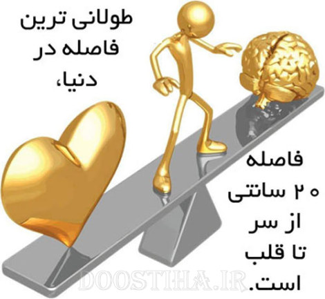 جملات الهام بخش، عکس نوشته آموزنده، گل واژه های زیبا برای زندگی