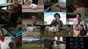 دانلود فیلم دنیای شارلوت Charlotte's Web 2006 دانلود فیلم تار شارلوت با زیرنویس فارسی Charlotte's Web 2006