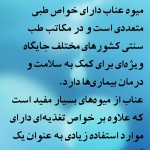 دانلود نرم افزار آشنایی با گیاهان دارویی و پر خاصیت (اندروید) بانک اطلاعاتی کامل از فواید و خواص انواع گیاهان خوراکی