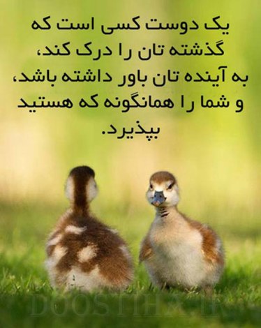 گل واژه های آموزنده و عکس نوشته های زیبا و جملات الهام بخش