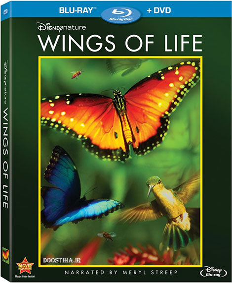 دانلود مستند بال&zwnj;های زندگی با دوبله فارسی Wings of Life 2011