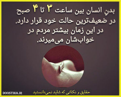 دانستنی های خواندنی و مقالات علمی و آموزنده