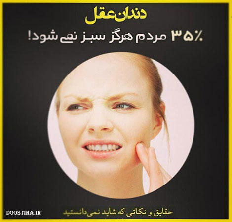 نکته های علمی، حقایق جالب و دانستنی های آموزنده