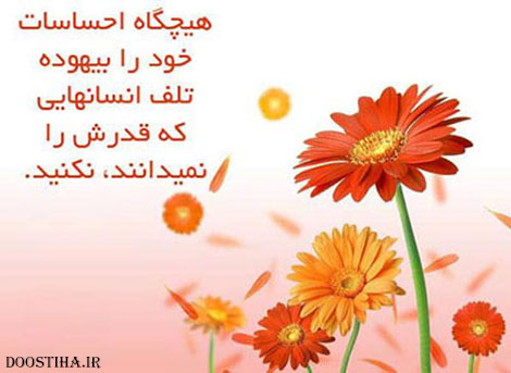 عکس نوشته الهام بخش، گل واژه های آموزنده، جملات تصویری زیبا, عکس نوشته آموزنده