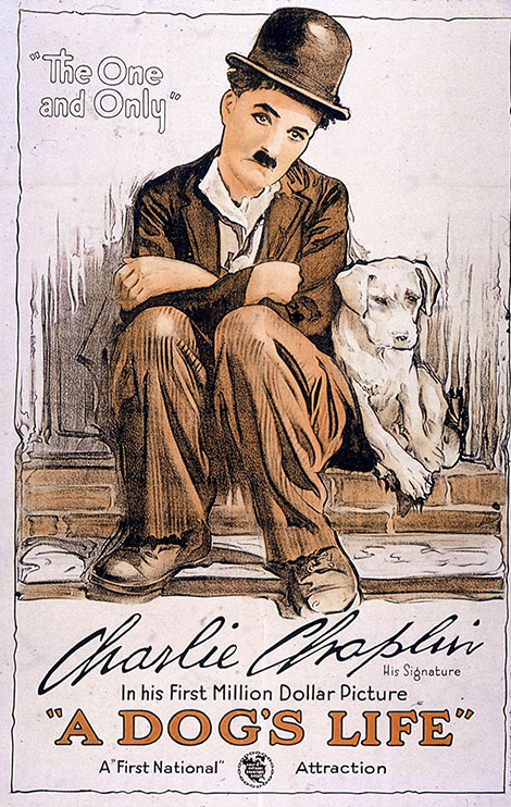 دانلود فیلم زندگی سگی چارلی چاپلین A Dog's Life 1918