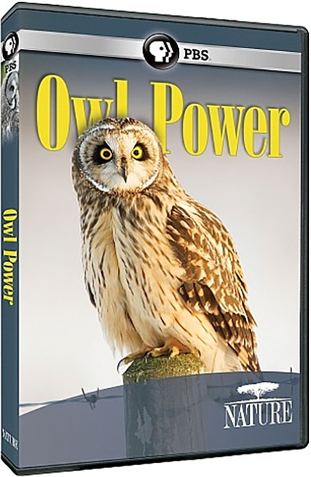 دانلود مستند نیروی جغد PBS - NATURE: Owl Power 2015 دانلود مستند قدرت جغد PBS - NATURE: Owl Power 2015