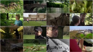 دانلود مستند باغ ملکه PBS - The Queen's Garden 2015 دانلود مستند باغ ملکه The Queen's Garden 2015