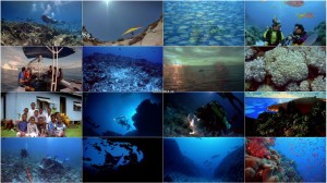 دانلود مستند صخره های مرجانی IMAX: Coral Reef Adventure 2003 دانلود مستند صخره های مرجانی IMAX: Coral Reef Adventure 2003