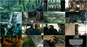 دانلود فیلم طلوع سیاره میمون ها با دوبله فارسی Dawn of the Planet of the Apes 2014