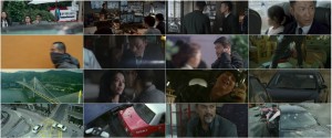 دانلود فیلم سینمایی طوفان آتش با دوبله فارسی Firestorm 2013 دانلود دوبله فارسی فیلم طوفان آتش Firestorm 2013