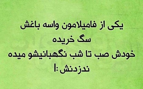 عکس خنده دار, اس ام اس طنز, پیامک جدید, جوک سرکاری, شوخی باحال, طنازی های ایرونی