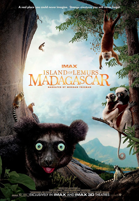 دانلود مستند Island of Lemurs: Madagascar 2014 دانلود مستند Island of Lemurs: Madagascar 2014