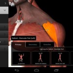 دانلود نرم افزار اندروید تناسب اندام iMuscle 2 v1.6 Final دانلود نرم افزار iMuscle 2 v1.6 Final