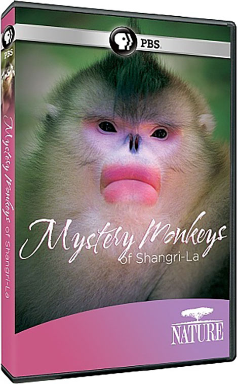 PBS Nature: Mystery Monkeys of Shangri-La 2015