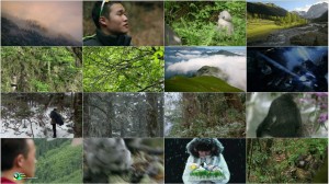 دانلود مستند PBS Nature: Mystery Monkeys of Shangri-La 2015 PBS Nature - Mystery Monkeys of Shangri-La 2015