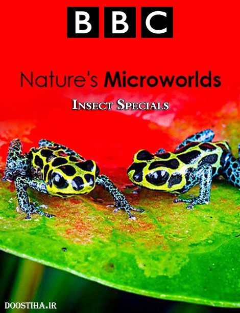 دانلود مستند Nature's Microworlds: Insect Specials 2014 BBC - Nature's Microworlds: Insect Specials 2014