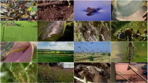 دانلود مستند Nature's Microworlds: Insect Specials 2014 BBC Natures Microworlds Insect Specials E01 Them and Us