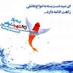 دلنوشته های احساسی و تصاویر بسیار زیبا از شهدای غواص عکس شهدای غواص, تصاویر تشییع پیکر 175 شهید غواص, دل نوشته های آسمانی برای شهیدان غواص