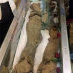 دلنوشته های احساسی و تصاویر بسیار زیبا از شهدای غواص عکس شهدای غواص, تصاویر تشییع پیکر 175 شهید غواص, دل نوشته های آسمانی برای شهیدان غواص