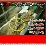 دلنوشته های احساسی و تصاویر بسیار زیبا از شهدای غواص عکس شهدای غواص, تصاویر تشییع پیکر 175 شهید غواص, دل نوشته های آسمانی برای شهیدان غواص