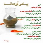 دلنوشته های احساسی و تصاویر بسیار زیبا از شهدای غواص عکس شهدای غواص, تصاویر تشییع پیکر 175 شهید غواص, دل نوشته های آسمانی برای شهیدان غواص