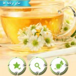 خواص درمانی و ویژگی های نوشیدنی های سرد و گرم گیاهی