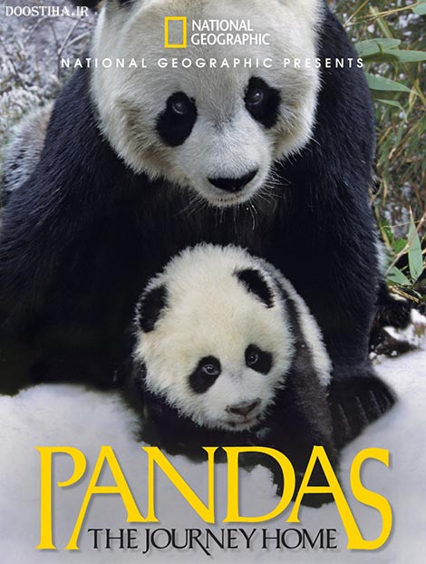 دانلود دوبله فارسی مستند Pandas: The Journey Home 2014 دانلود دوبله فارسی مستند Pandas: The Journey Home 2014