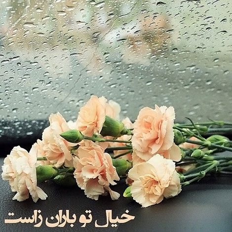 نقل قول های ماندگار, دیالوگ های به یاد ماندنی, اشعار زیبا, جملات و متون آموزنده, گل واژه های الهام بخش