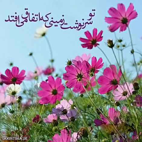 نقل قول های ماندگار, دیالوگ های به یاد ماندنی, اشعار زیبا, جملات و متون آموزنده, گل واژه های الهام بخش
