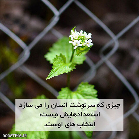 دیالوگ های ماندگار, عکس نوشته های آموزنده, جملات زیبا, نقل قول های بزرگان
