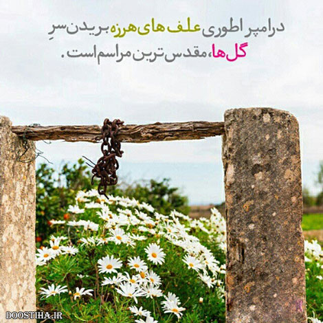 دیالوگ های ماندگار, عکس نوشته های آموزنده, جملات زیبا, نقل قول های بزرگان