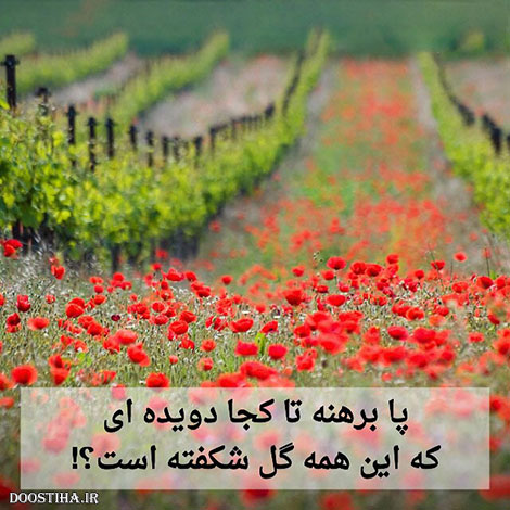 دیالوگ های ماندگار, عکس نوشته های آموزنده, جملات زیبا, نقل قول های بزرگان
