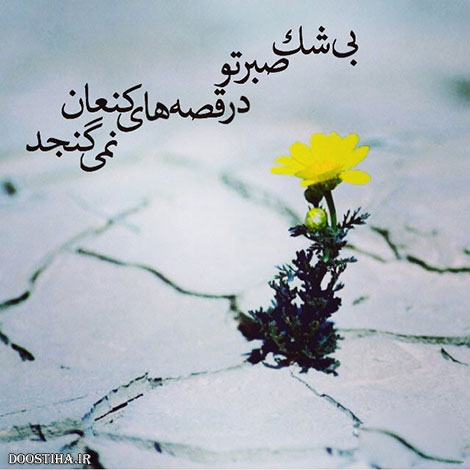 دیالوگ های ماندگار, عکس نوشته های آموزنده, جملات زیبا, نقل قول های بزرگان