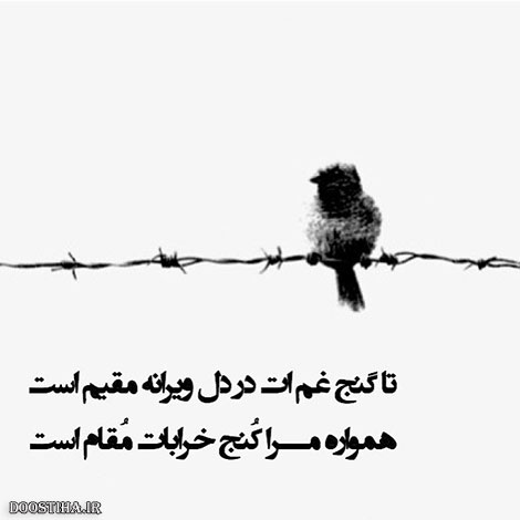 دیالوگ های ماندگار, عکس نوشته های آموزنده, جملات زیبا, نقل قول های بزرگان