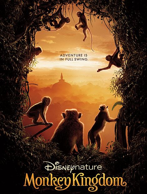 دانلود مستند پادشاهی میمون Monkey Kingdom 2015 دانلود مستند Monkey Kingdom 2015